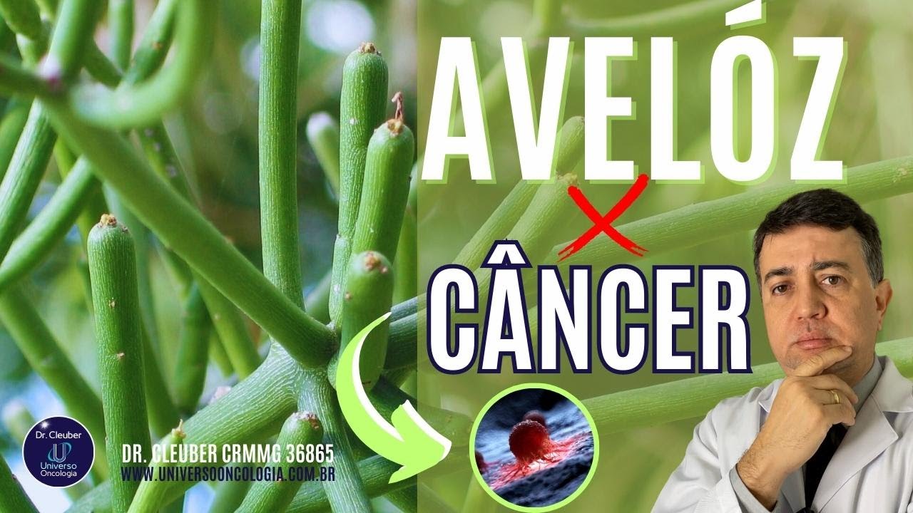 🟢 Avelóz CURA o Câncer? Veja Aqui as Novidades! 🧪