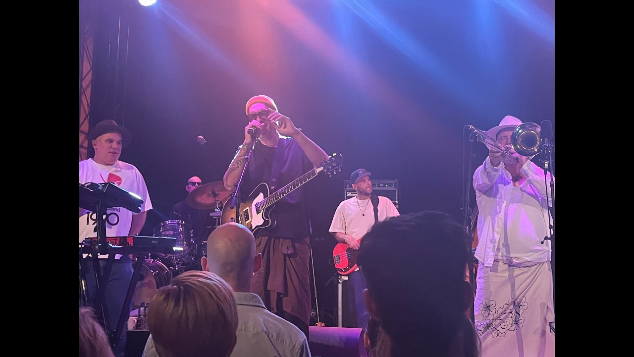 FAT FREDDY'S DROP -Avengers -live@Meow Nui - 20th February 2026
