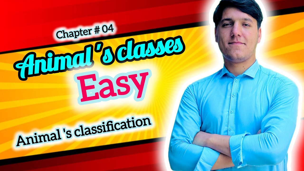 Animals Classification | Types & Groups Explained Simply, Utmanzi Science and academy.