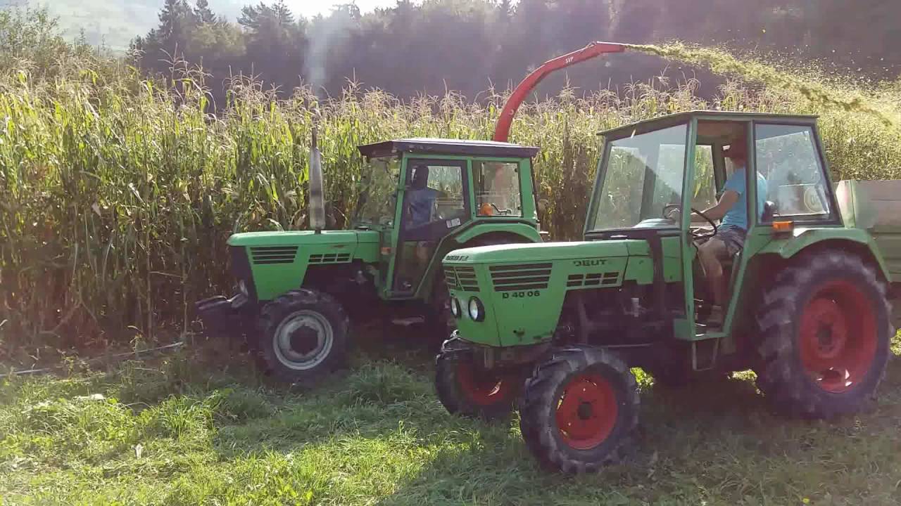 Corn harwesting with DEUTZ D4006 and TORPEDO 55 + sip silo 80b (silage 2016) /siliranje 2016