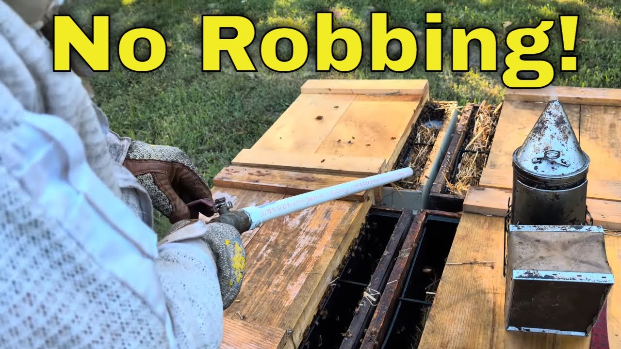 Inspect without Robbing Issues!