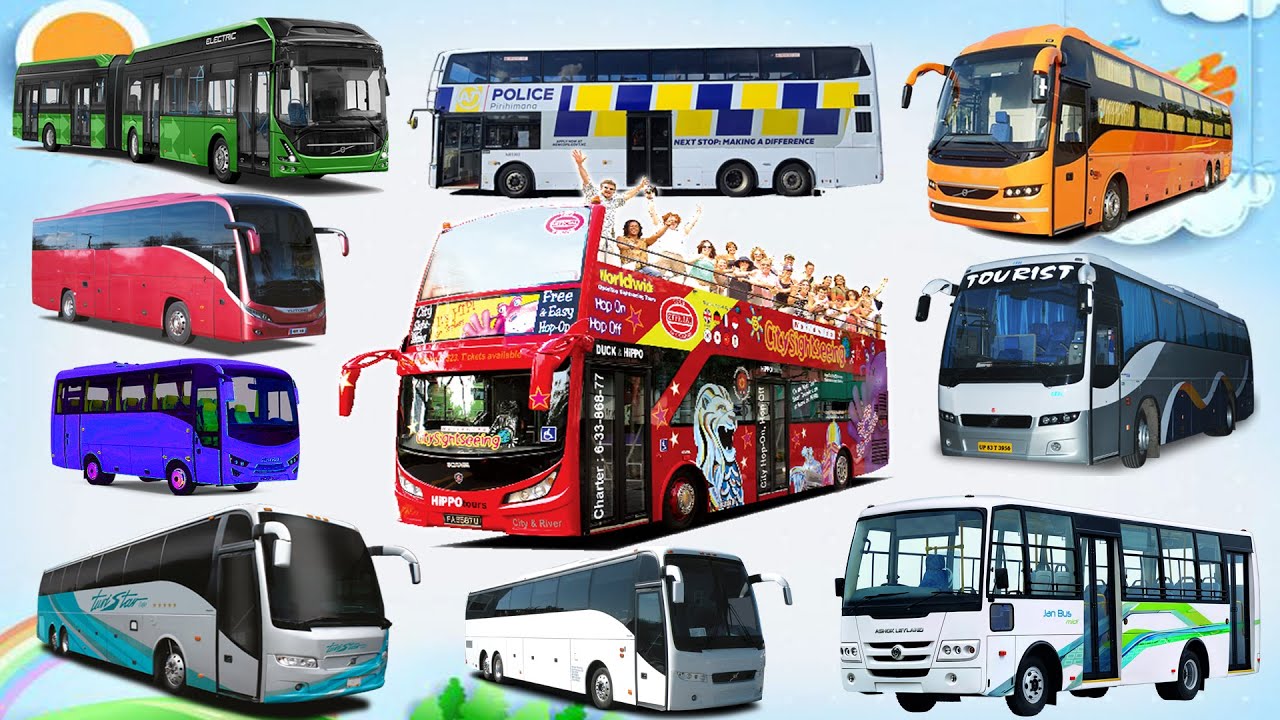 🚍 Xe Buýt Cho Bé P2 | Xe Buýt Cảnh Sát, Sân Bay, Mui Trần | Video Xe Cho Trẻ Em – Xe Buýt Gì Đây?