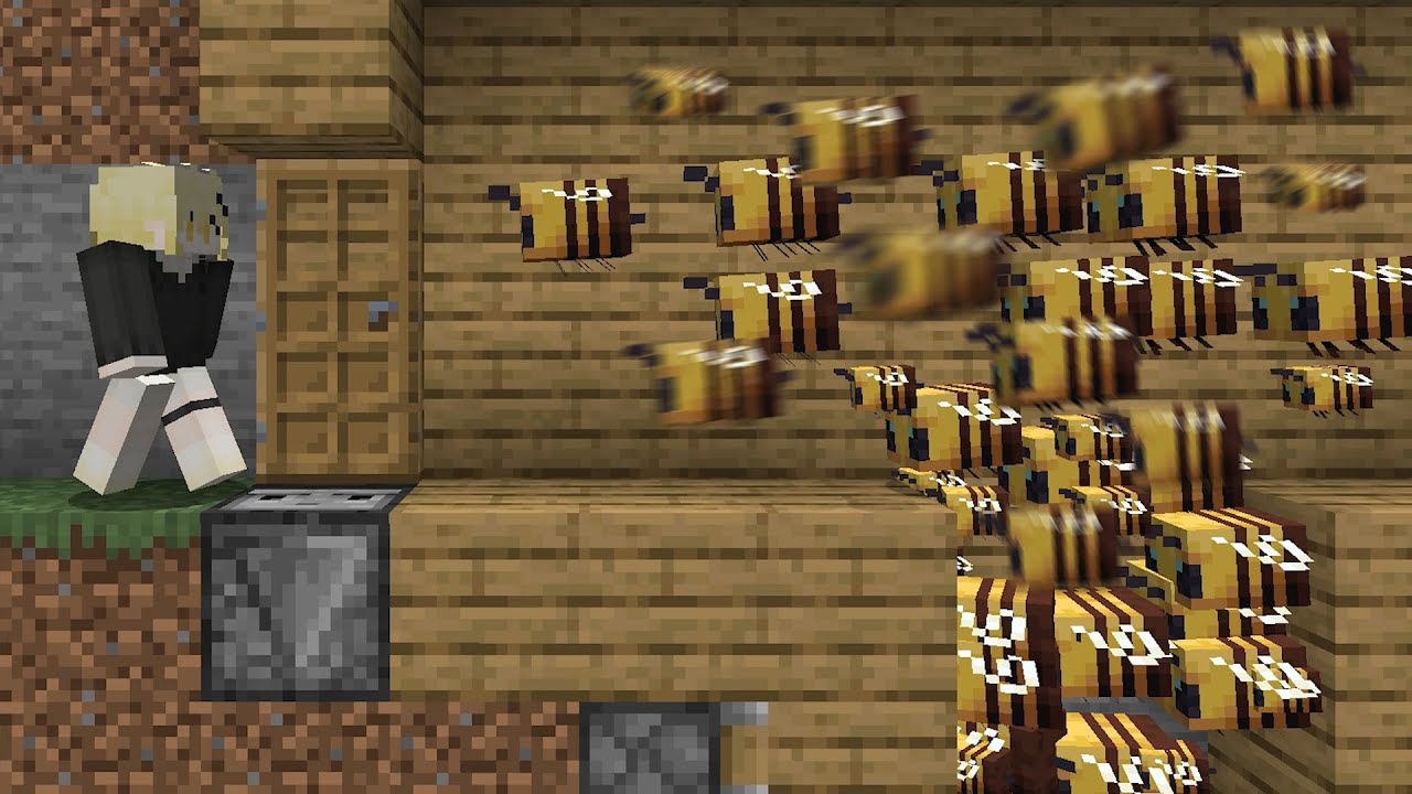 친구집에 벌 300마리 풀어버리기ㅋㅋㅋ