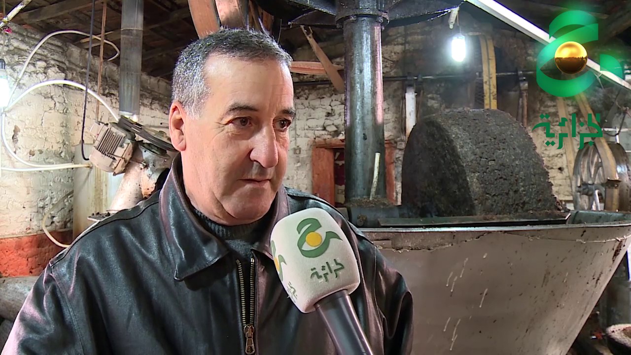 اقدم معصرة زيتون في تيزي وزو تتحدي الزمن