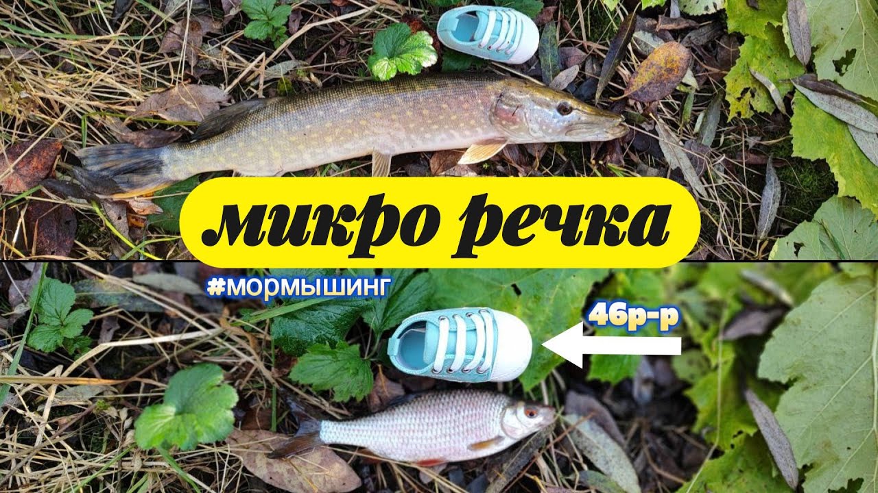 #мормышинг | Осенняя миркоречка раздаёт рыб |