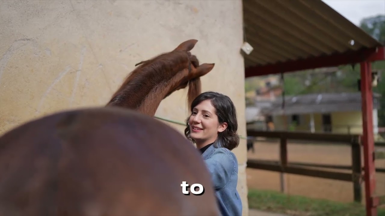 How Often Should you Deworm your Horse?