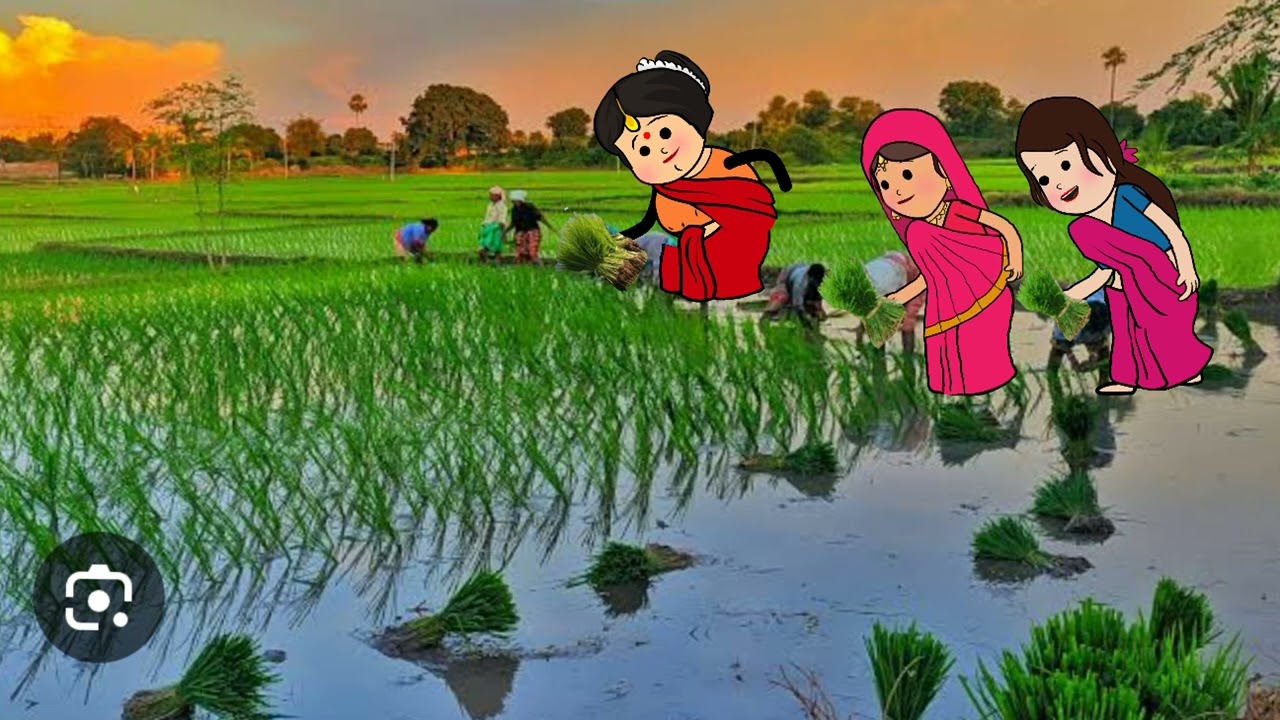 All three brothers-in-law and elder sister-in-law went to collect paddy and sang the song Nirvahi...