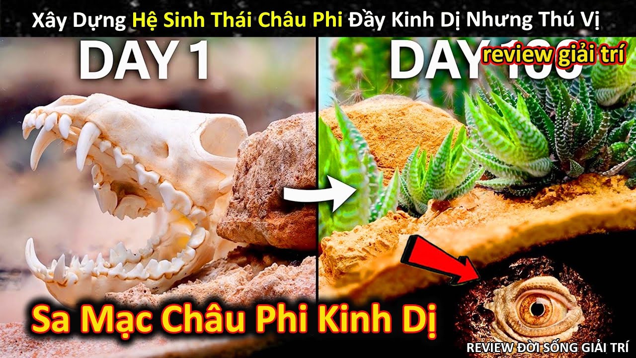 X&acirc;y Dựng Hệ Sinh Th&aacute;i Triệu Đ&ocirc; Về Ch&acirc;u Phi Đầy Kinh Dị || Review Giải Tr&iacute; Đời Sống