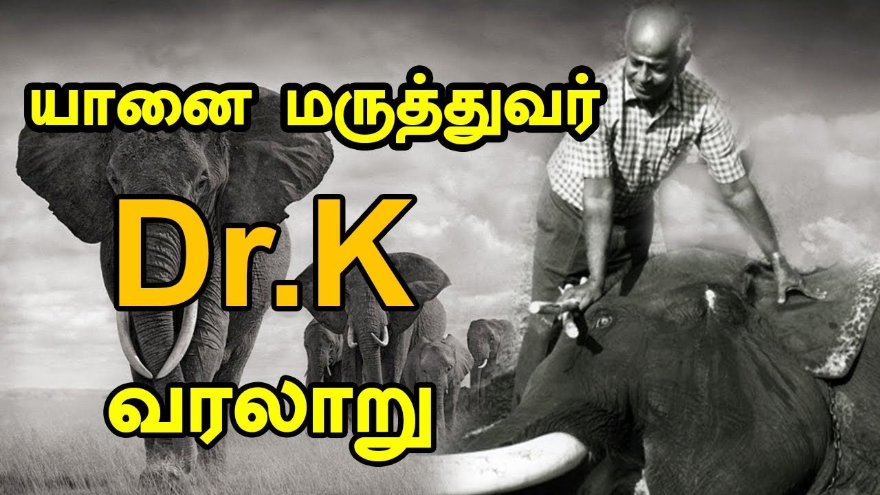 Dr.K - History (யானை மருத்துவர்  V.Krishnamurthy) | IVAR YAAR