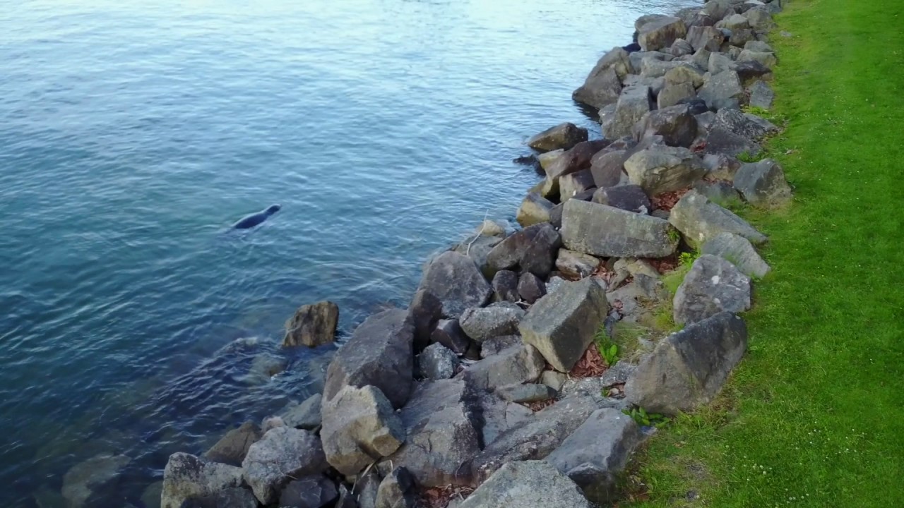 Ruston Way Waterfront