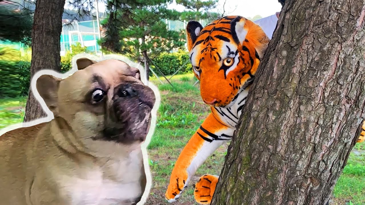 Tiger Prank On My Dogs | FUNNY FAIL 😂