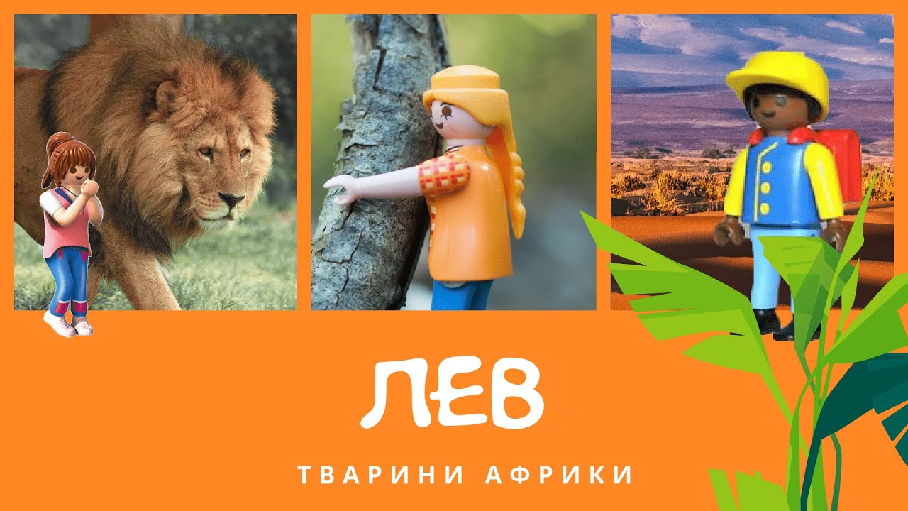 Лев. Тварини Африки | КоМарко