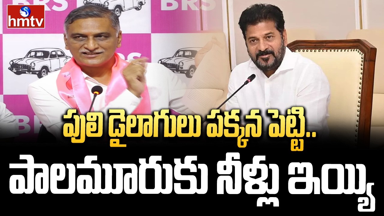 పులి డైలాగులు పక్కన పెట్టి.. పాలమూరుకు నీళ్లు ఇయ్యి | Harish Rao Sensational Comments On CM Revanth