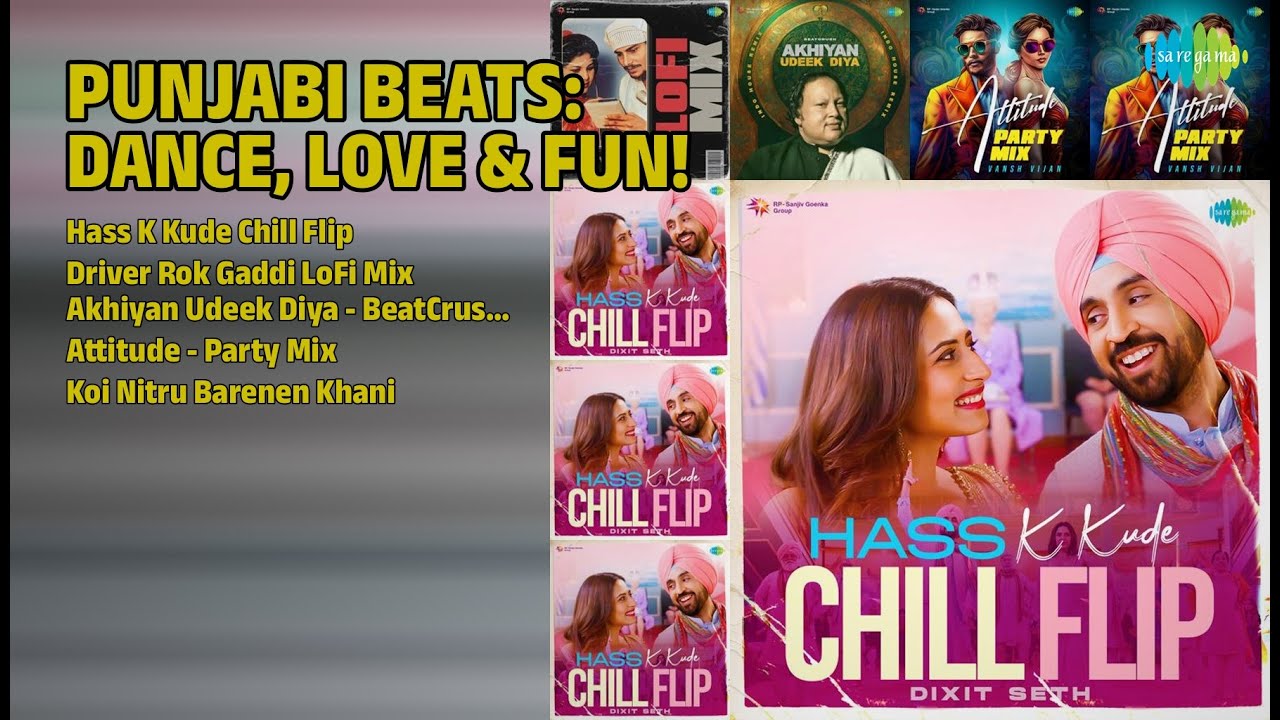 Dance, Fun, Love Punjabi Hits | Dixit Seth Songs | Hass K Kude Chill Flip