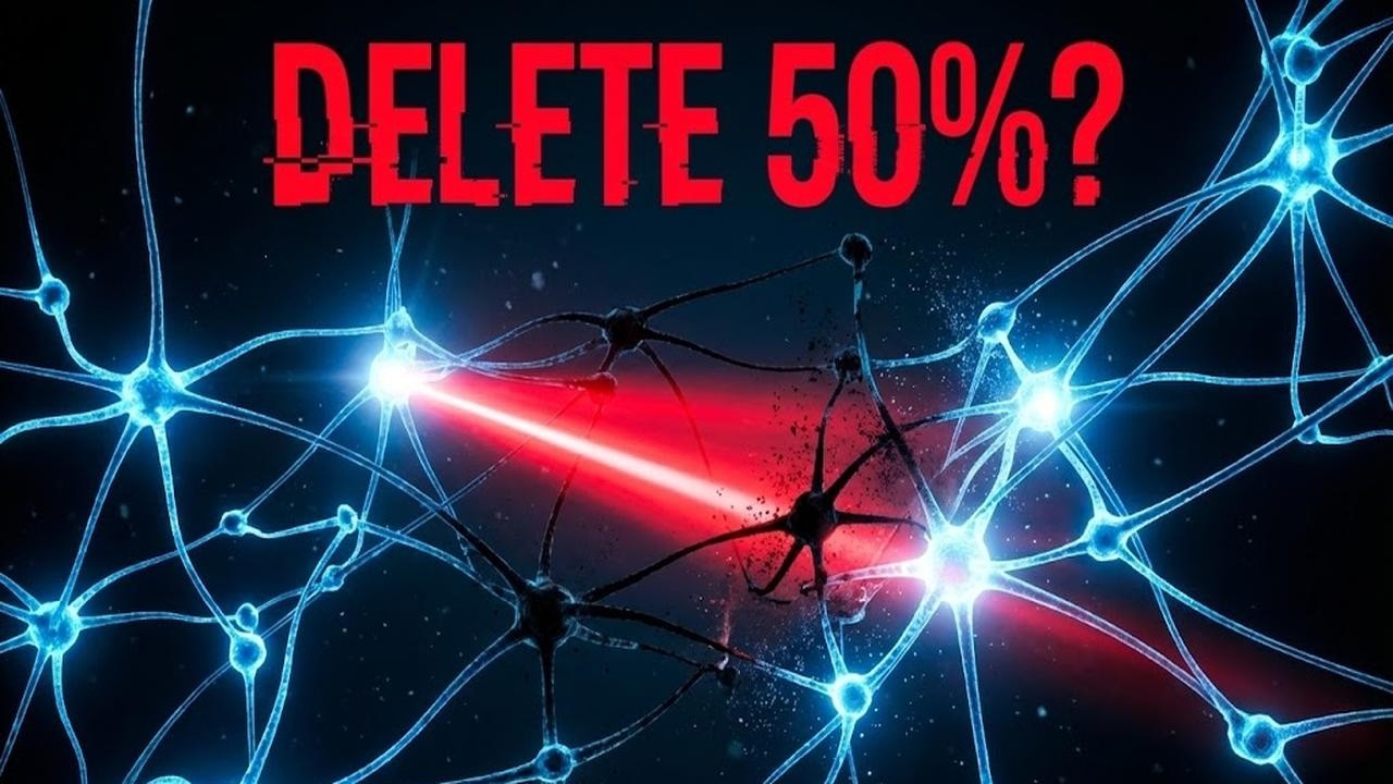 Why Deleting 50% of a Neural Network Actually Works