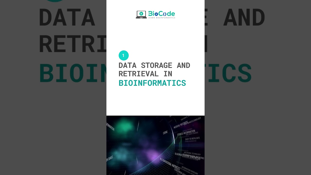 Biological Data Storage and Retrieval in Bioinformatics