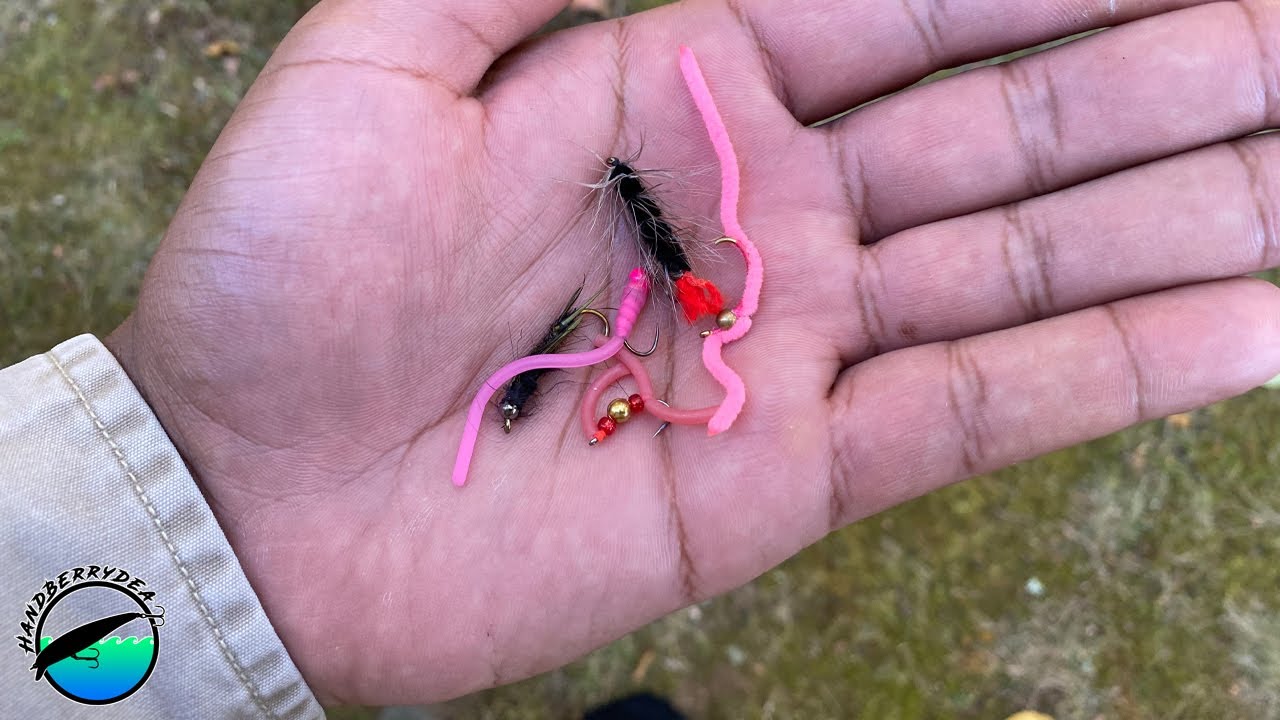 What are the BEST Trout baits for the Salmon River Pulaski?