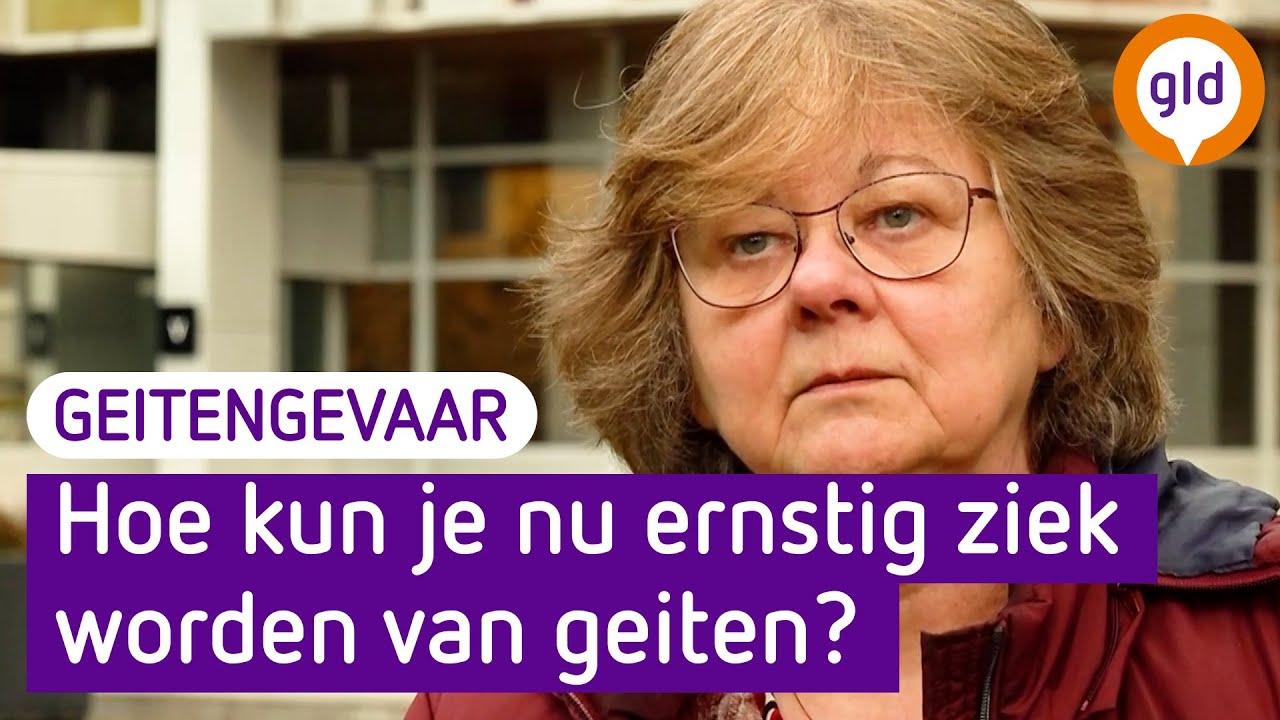 RIVM over geiten en longontsteking: 'zou een nieuwe zo&ouml;nose kunnen zijn' | Omroep Gelderland