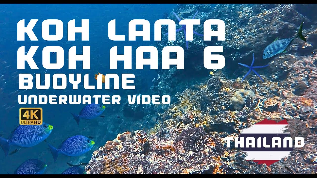 Thailand Koh Lanta Koh Haa 6 (Buoyline) | 4K UHD Underwater Video Full Diving