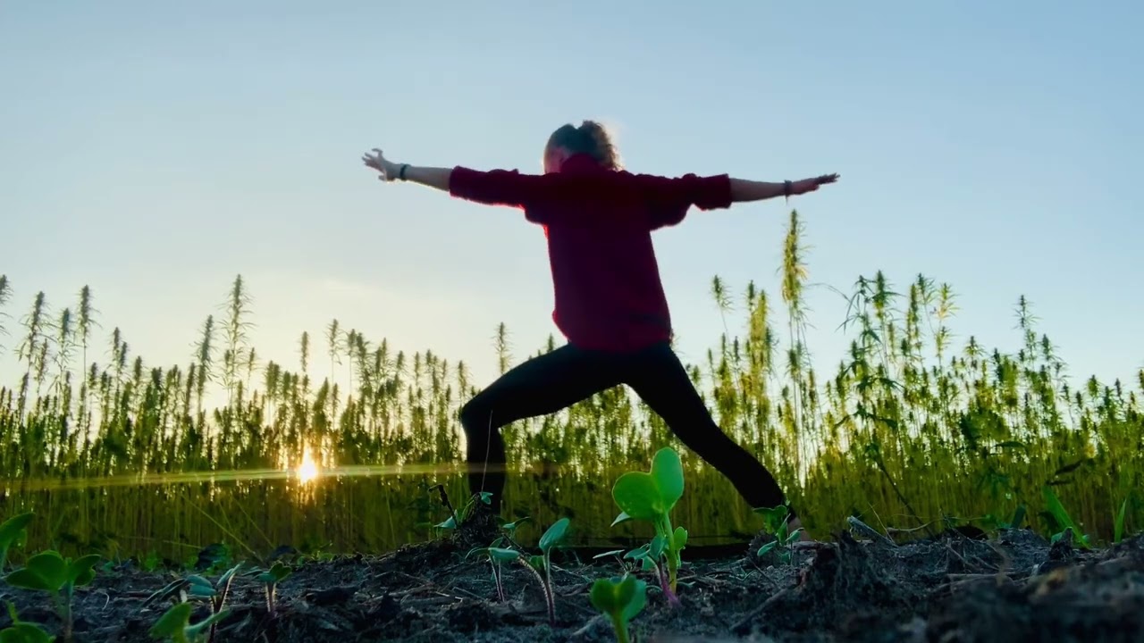 Yoga in a Green Field 🍃| Circle Yoga