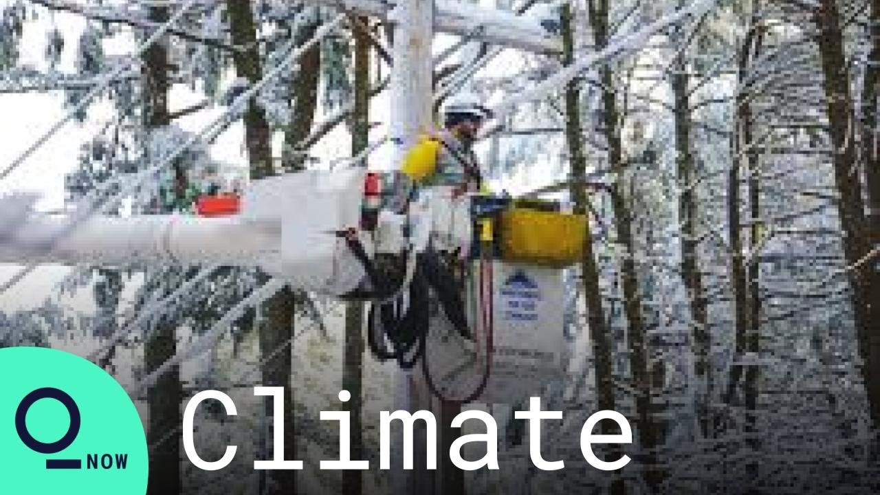 Texas Electricity Sales Totaled $50.6 Billion During Historic Winter Weather