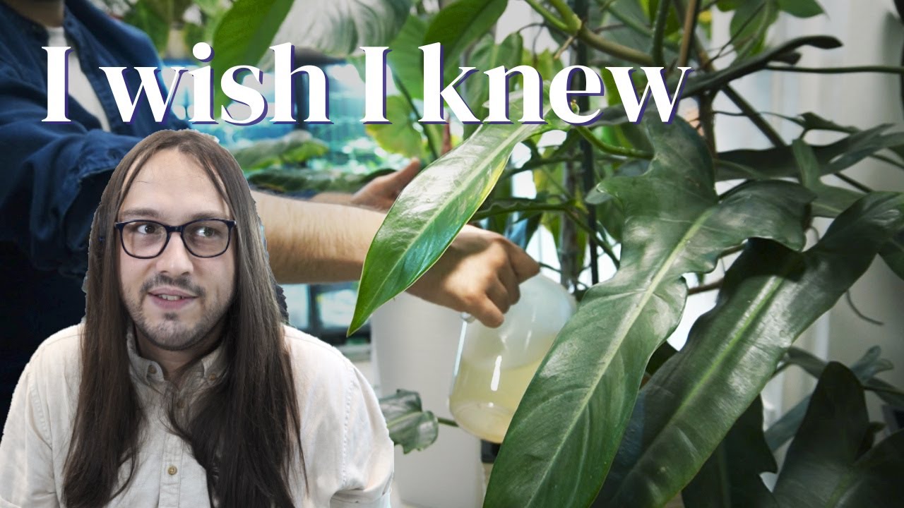 What I wish I knew before starting a large plant collection