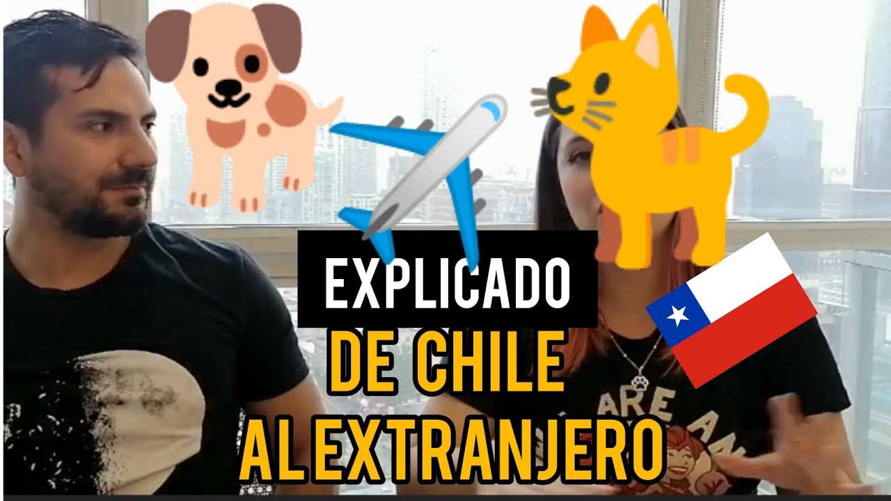 Cómo viajar con tus mascotas en cabina (2024) desde Chile al Extranjero