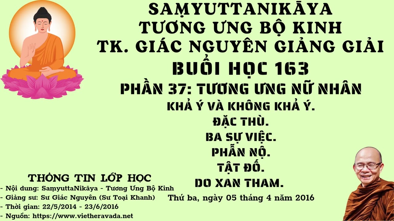 BUỔI 163 | TƯƠNG ƯNG BỘ KINH 2014-2016 | SƯ GIÁC NGUYÊN - PHẬT GIÁO NGUYÊN THỦY THERAVĀDA