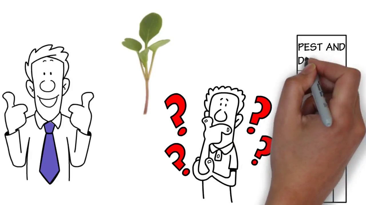 What are microgreens?