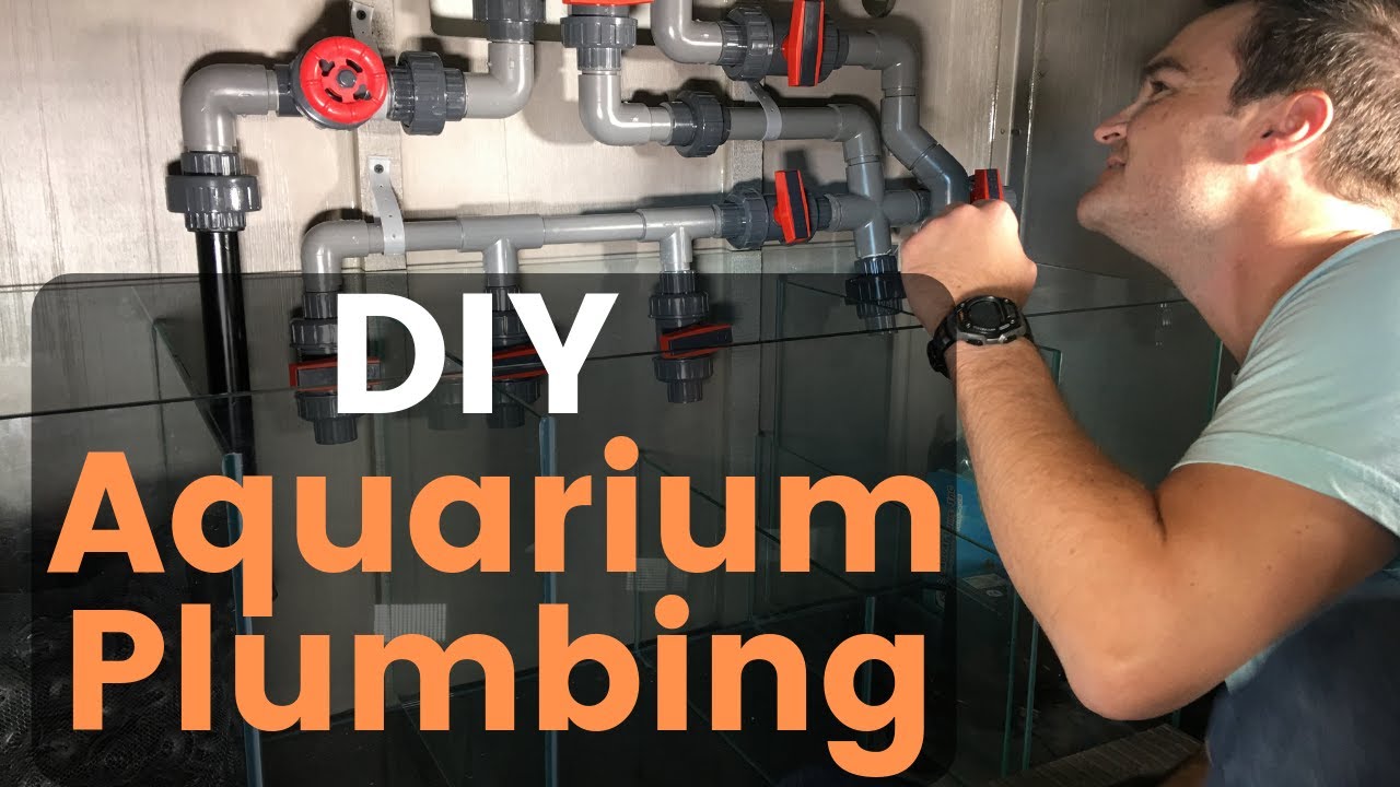 SCA 120 Gallon PNP: Part 03, Final Plumbing