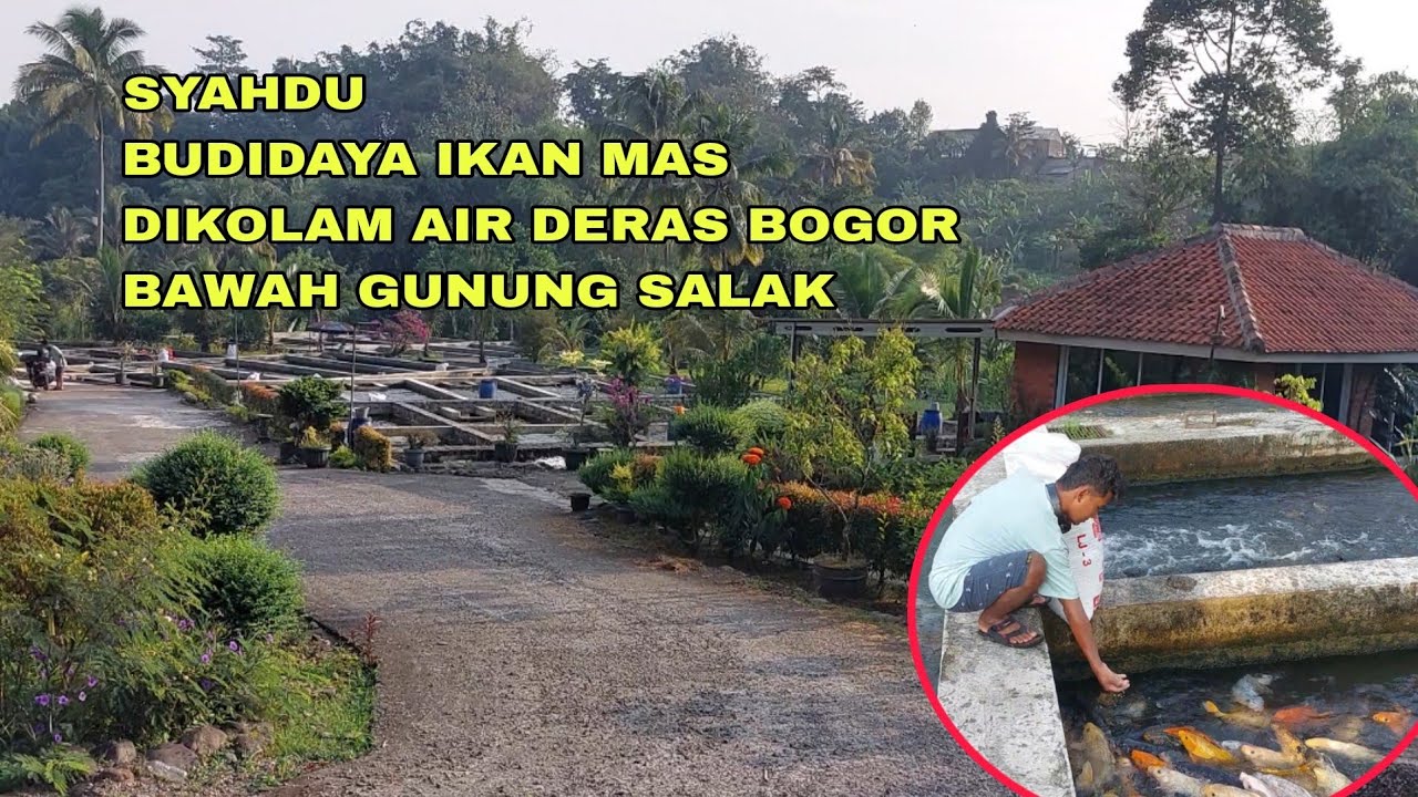 SYAHDU, KOLAM AIR DERAS DIBOGOR BAWAH GUNUNG SALAK