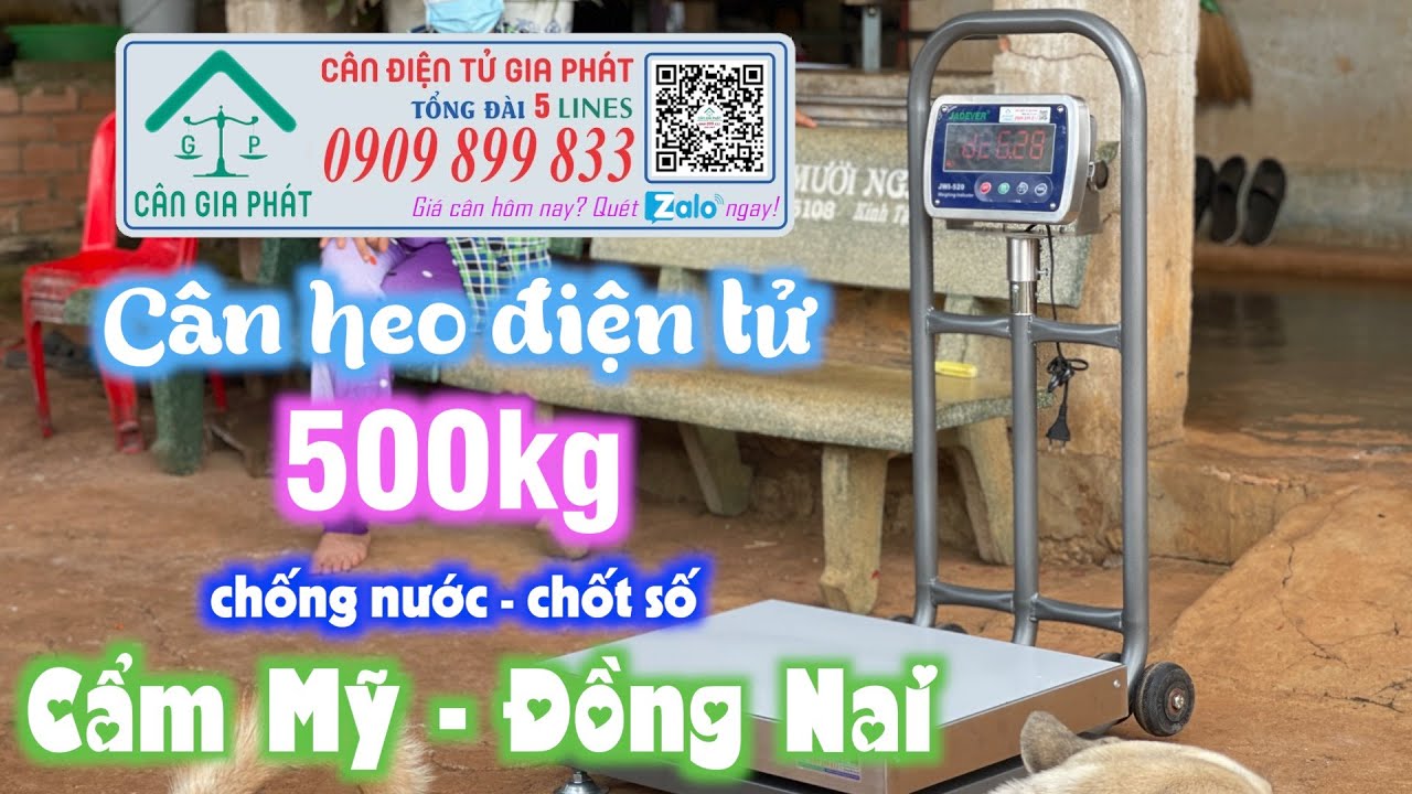 Cân điện tử cân heo 200kg 300kg 500kg cân heo chốt số, chống nước, có bánh xe - giao Cẩm Mỹ Đồng Nai