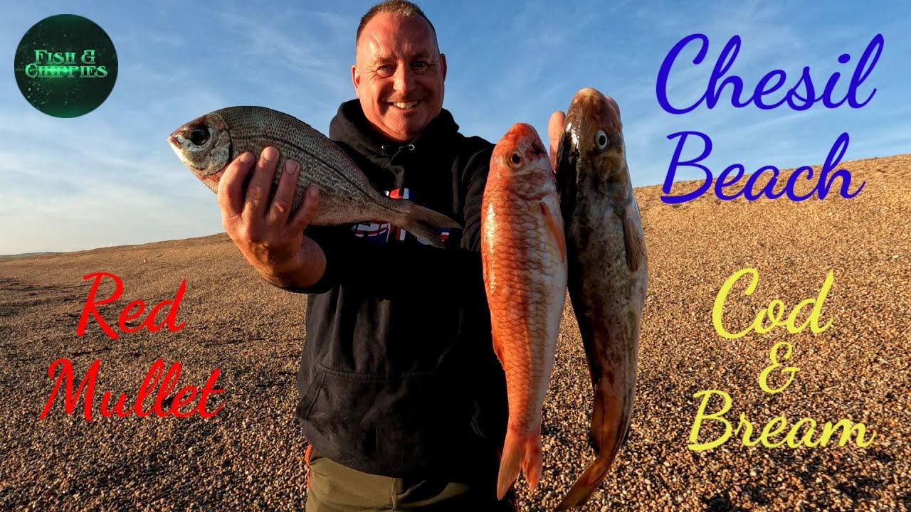 Chesil Beach October 2022