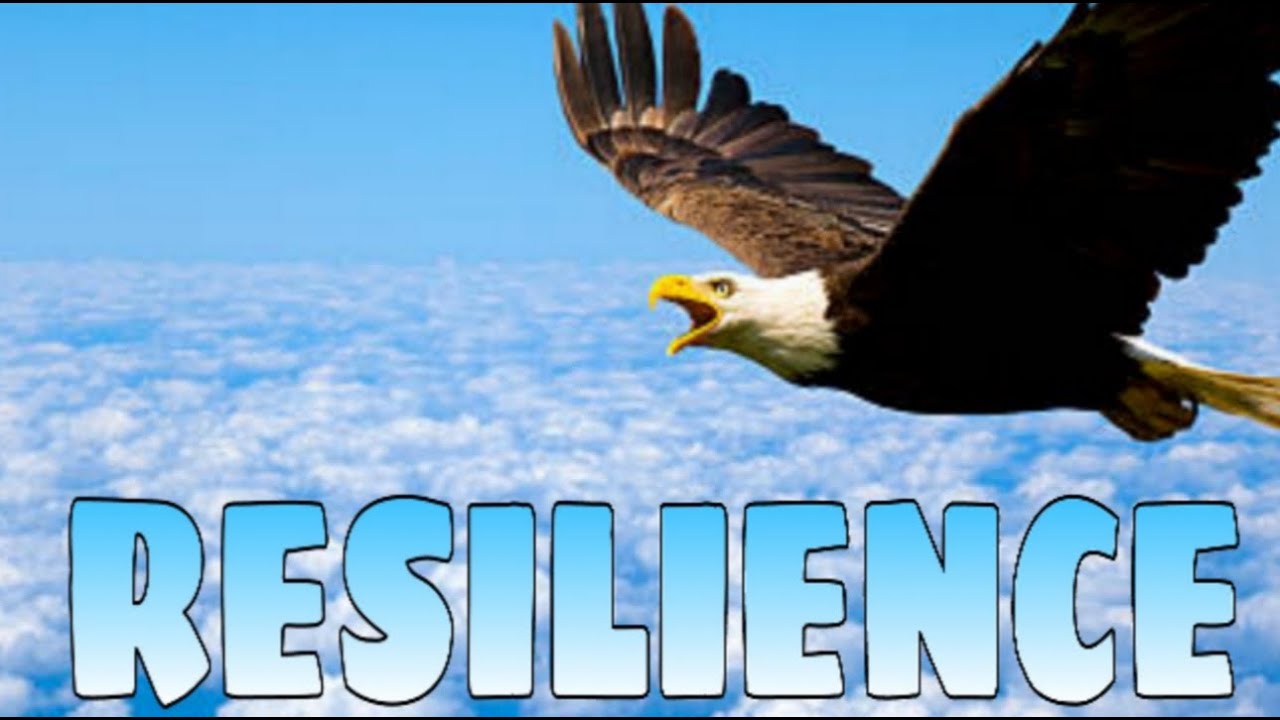 ENERGY - Resilience (Audio slide)