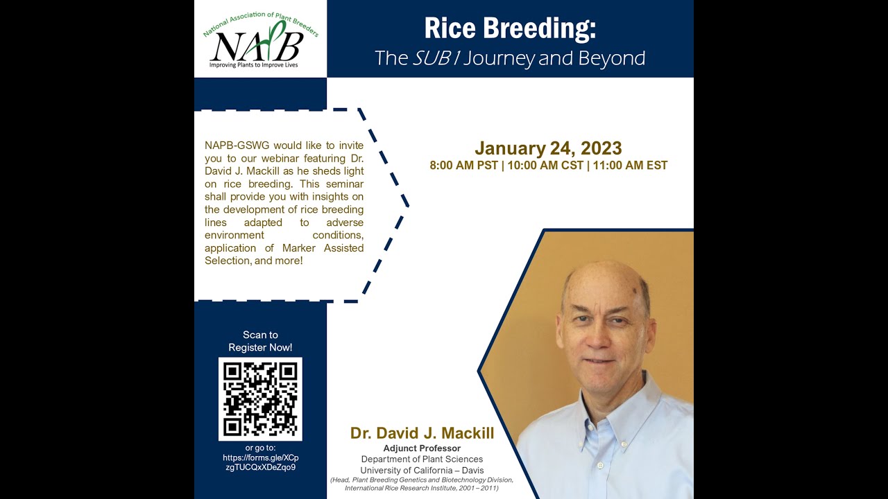 Rice Breeding: The SUB1 Journey and Beyond - an NAPB GSWG webinar.