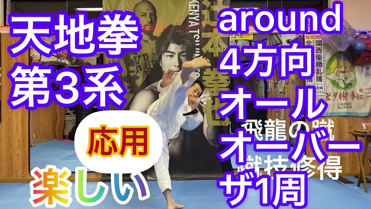 天地拳第3系応用around4方向左右オールオーバーザ1周 対面鏡方式 #単演基本形#少林寺拳法 #型 #形 #天地拳第3系  #少林寺拳法オンライン