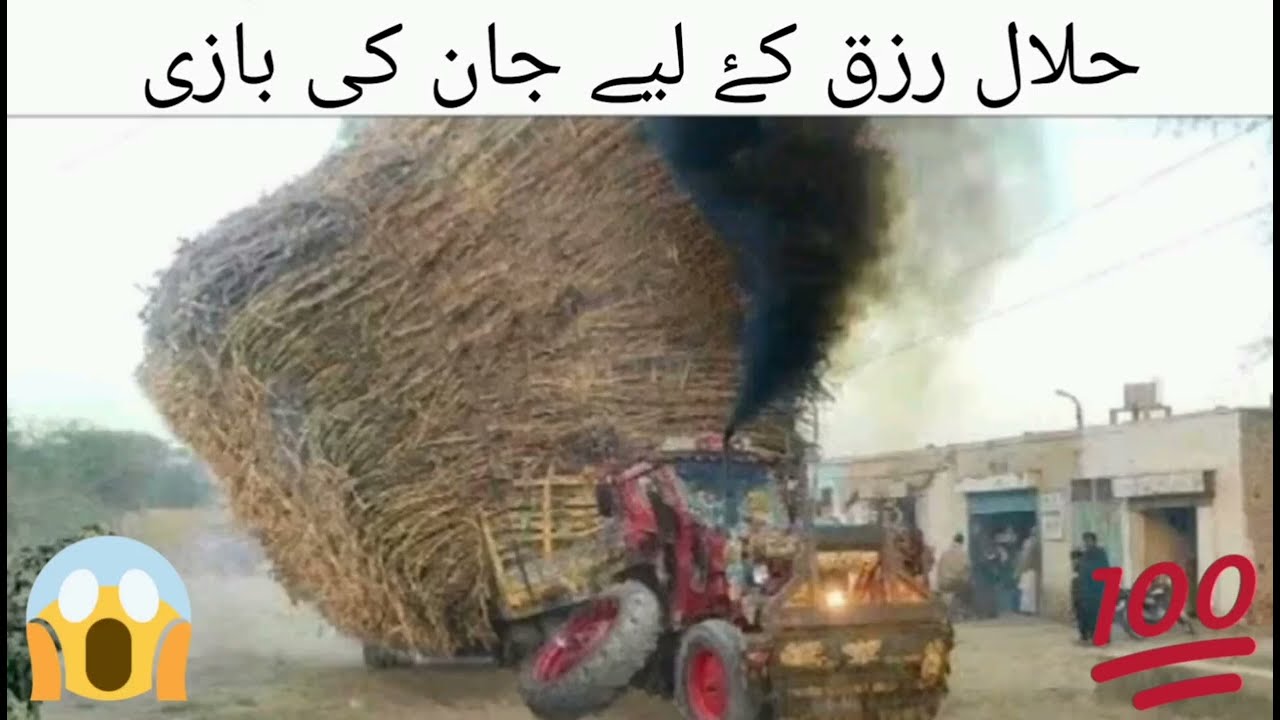 hilal rozi kese kamate h log aj ham janege let kaman