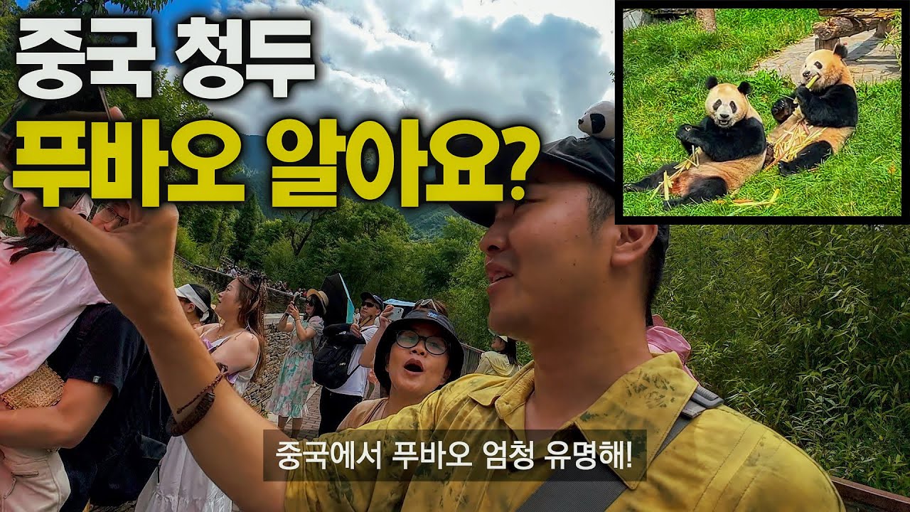 우리 푸바오 가는 곳! 중국팬더기지 탐방 - 중국, 세계여행 [121]