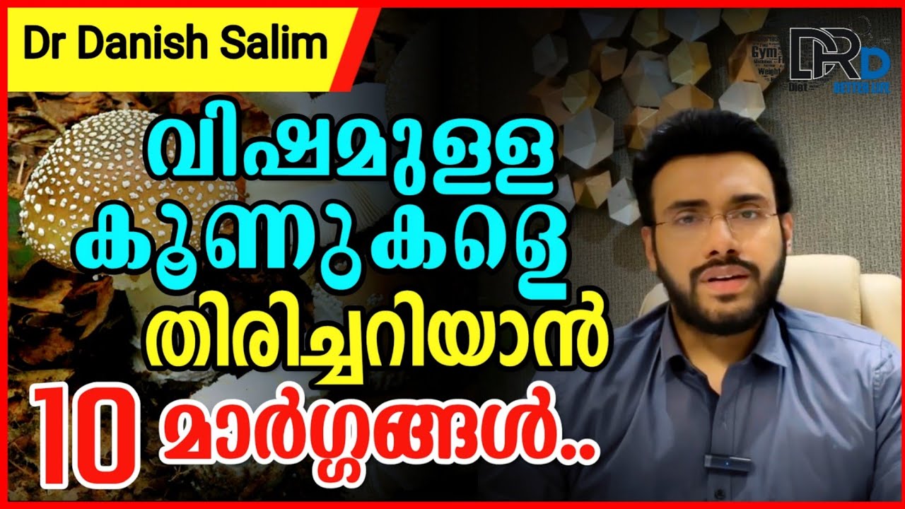 920: 🍄 വിഷമുള്ള കൂണുകളെ എങ്ങനെ തിരിച്ചറിയാം? 10 മാർഗ്ഗങ്ങൽ..How to identify poisonous mushrooms?