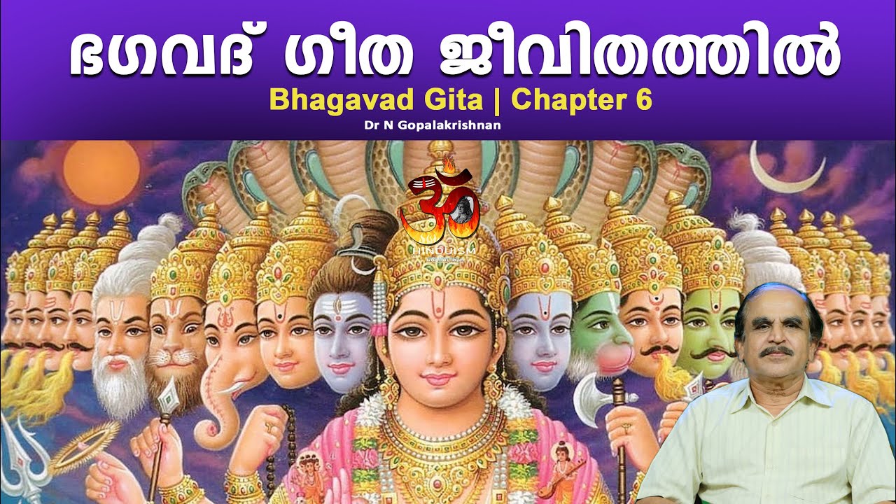 PART - 16 |Bhagavad Gita in daily life | ഭഗവദ് ഗീത ജീവിതത്തിൽ | DrN Gopalakrishnan @hinduismmalayalam