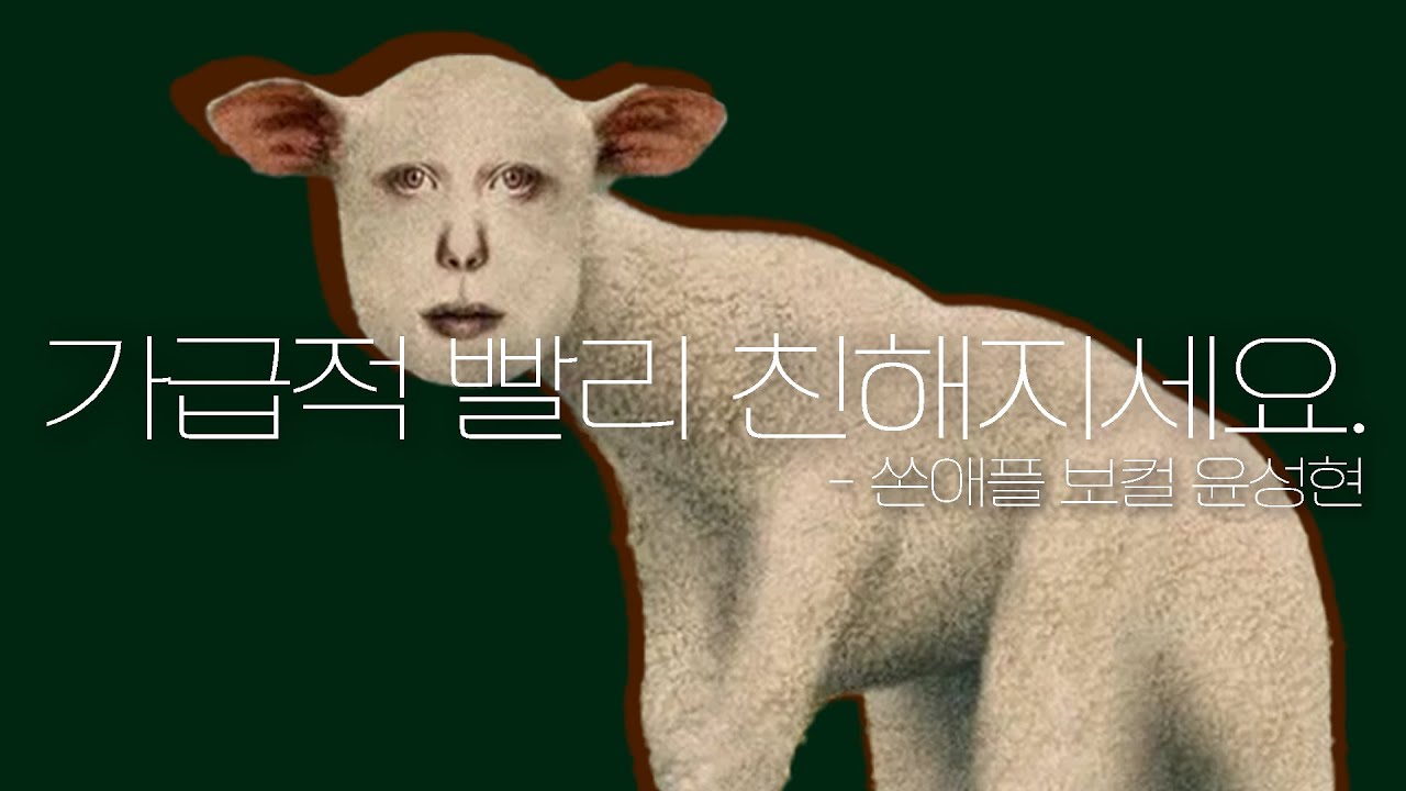 쏜애플 EP '동물' 발매 기념 동물 플레이리스트ㅣ𝕡𝕝𝕒𝕪𝕝𝕚𝕤𝕥𝕤ㅣ쏜애플,  THORNAPPLE, 동물, 멸종, 게와 수돗물