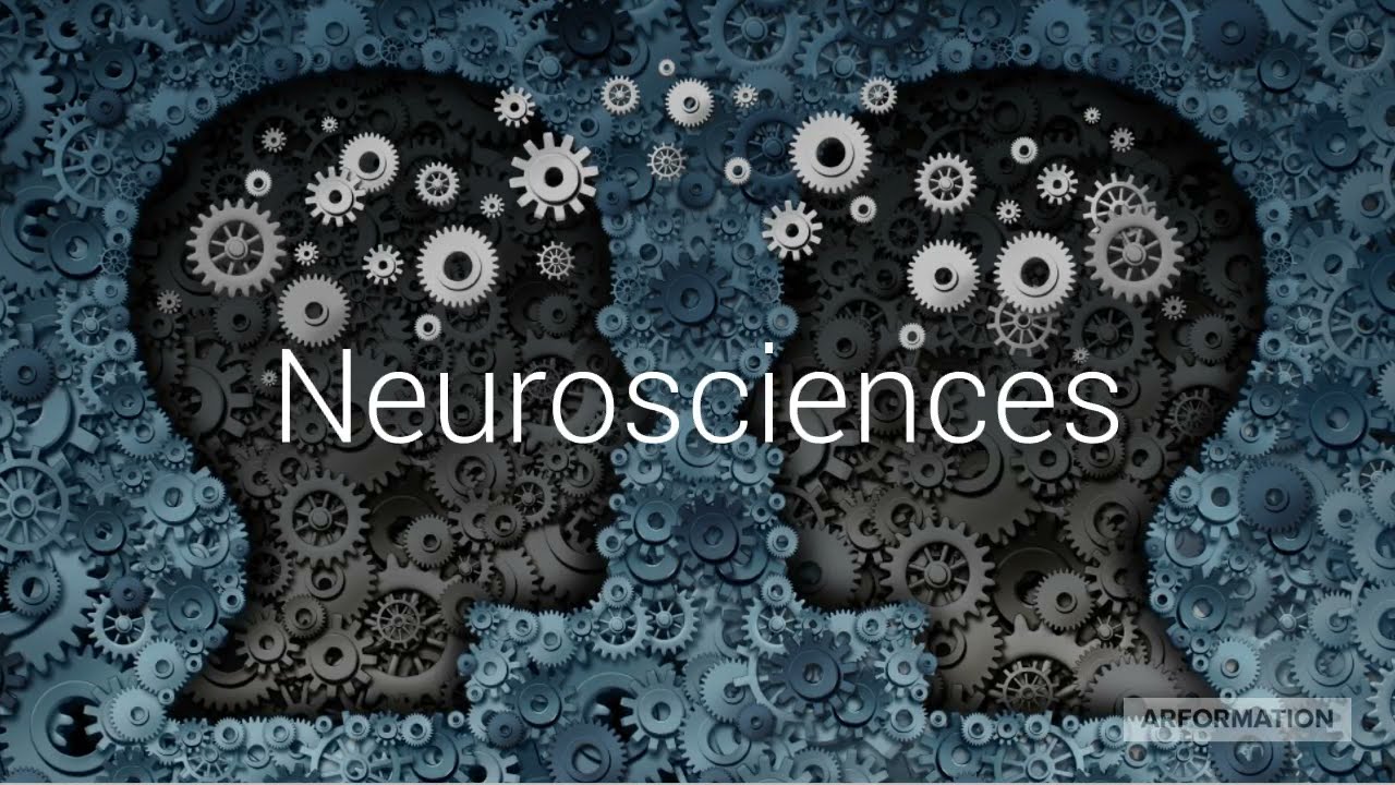 M&eacute;moire et motivation : les neurosciences au service de la formation