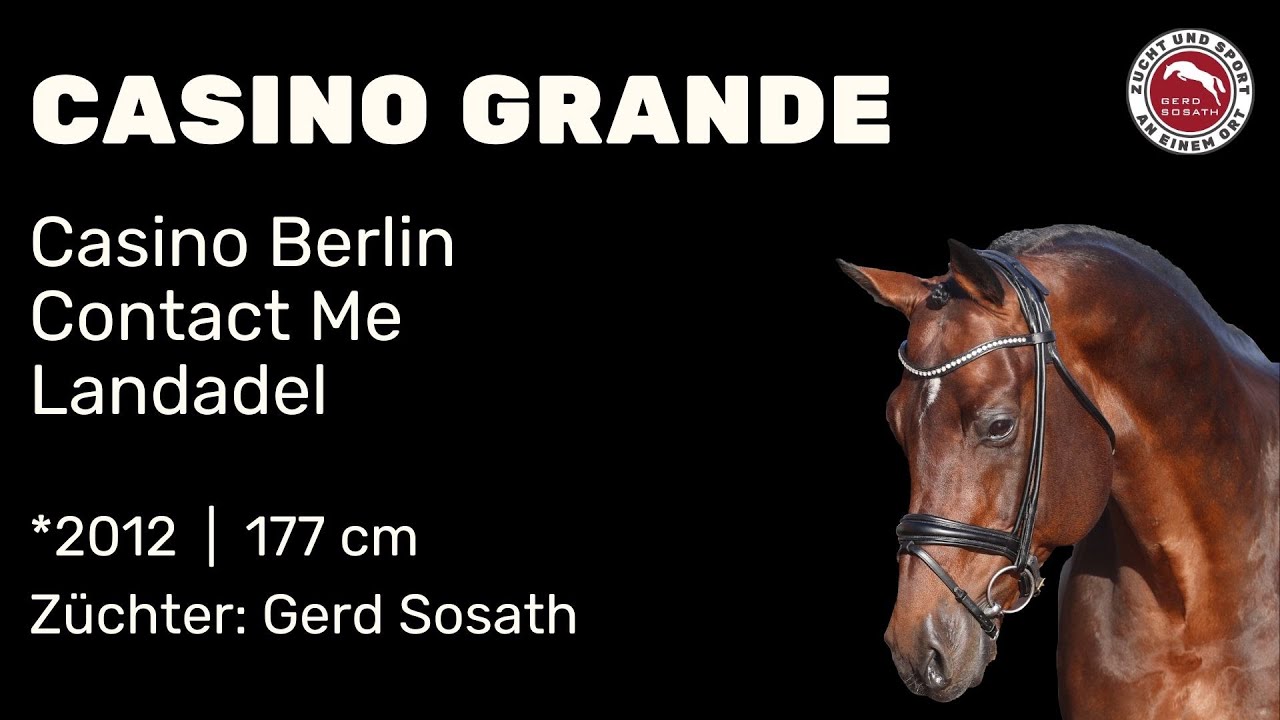 Casino Grande *2012 von Casino Berlin OLD x Contact me | Hengstschau Sosath 2024