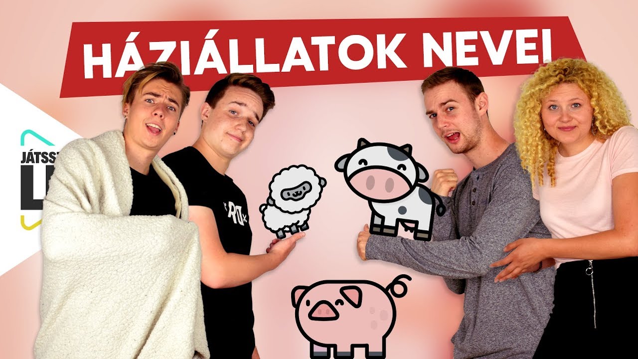 A borj&uacute; az NEM b&aacute;r&aacute;ny?! 🐑 ZsDav, V&eacute;gh D&oacute;ri, Boldzer &eacute;s Baluka felelnek: H&aacute;zi&aacute;llatok | J&aacute;tsszuk le!