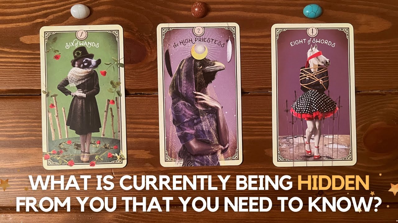 What Is Currently Being Hidden From You That You Need To Know? ✨🗃 🧐✨ | Timeless Reading