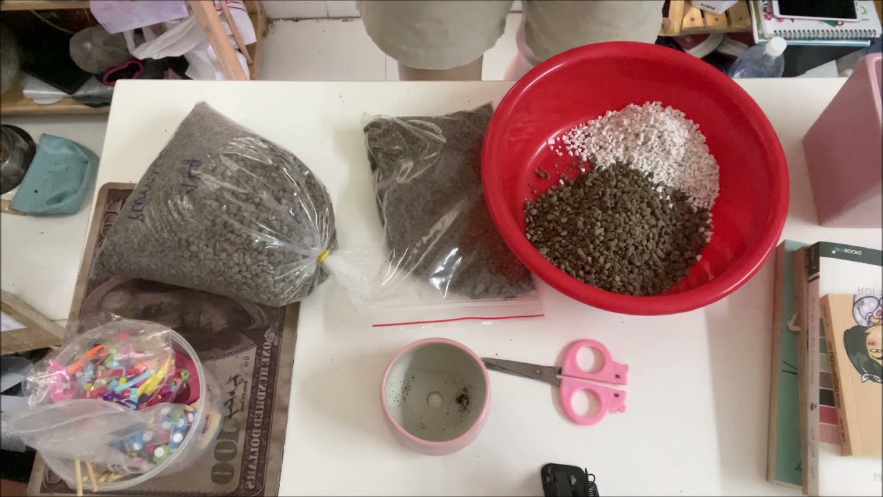 Cách trộn đất trồng chuyên cho Lithop || Sen Mông || Thạch lan #lithops #senmong #thạchlan
