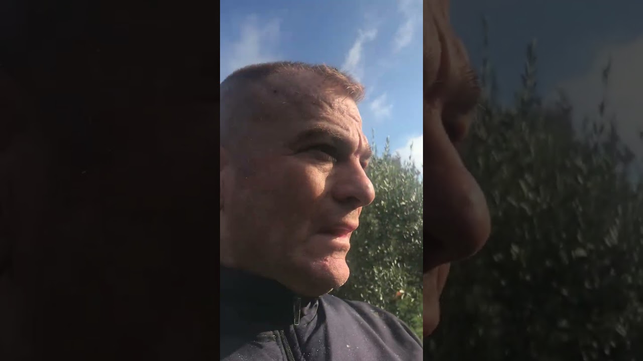 Zeytin budarken GEPETTO usta aklıma geldi