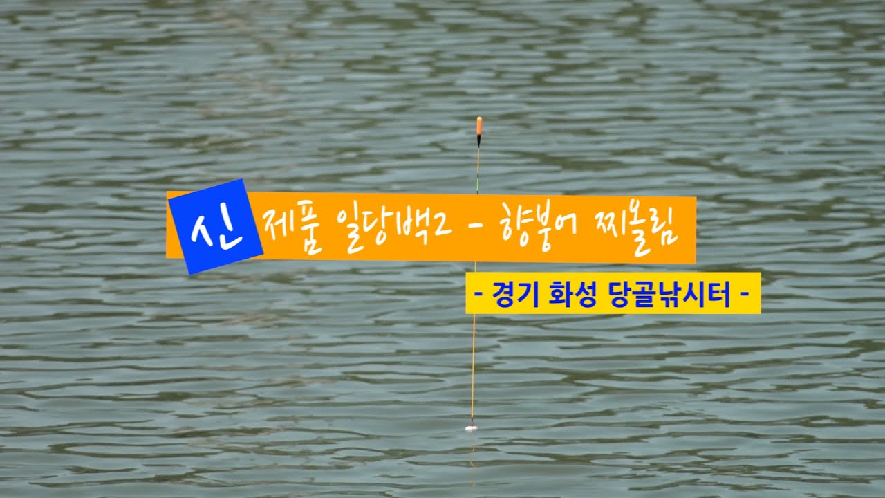 [양어장] 47.신제품 '일당백2' 향붕어 찌올림 - 경기 화성 당골낚시터(2021.5.20)