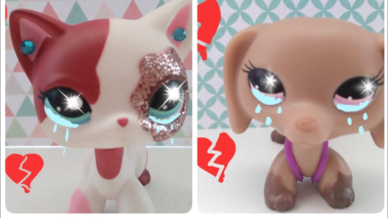 LPS:solo [Music video]💔