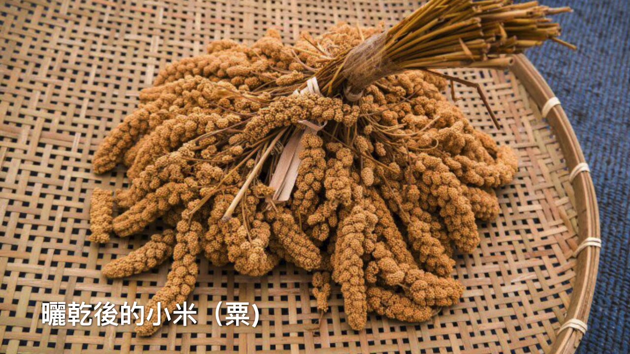 小米麻糬DIY